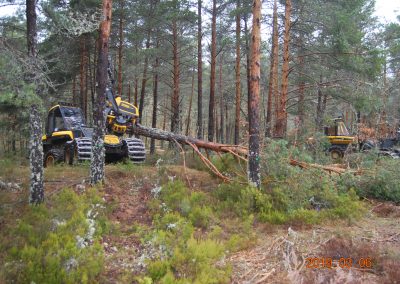 Adquisición de nueva maquinaria forestal
